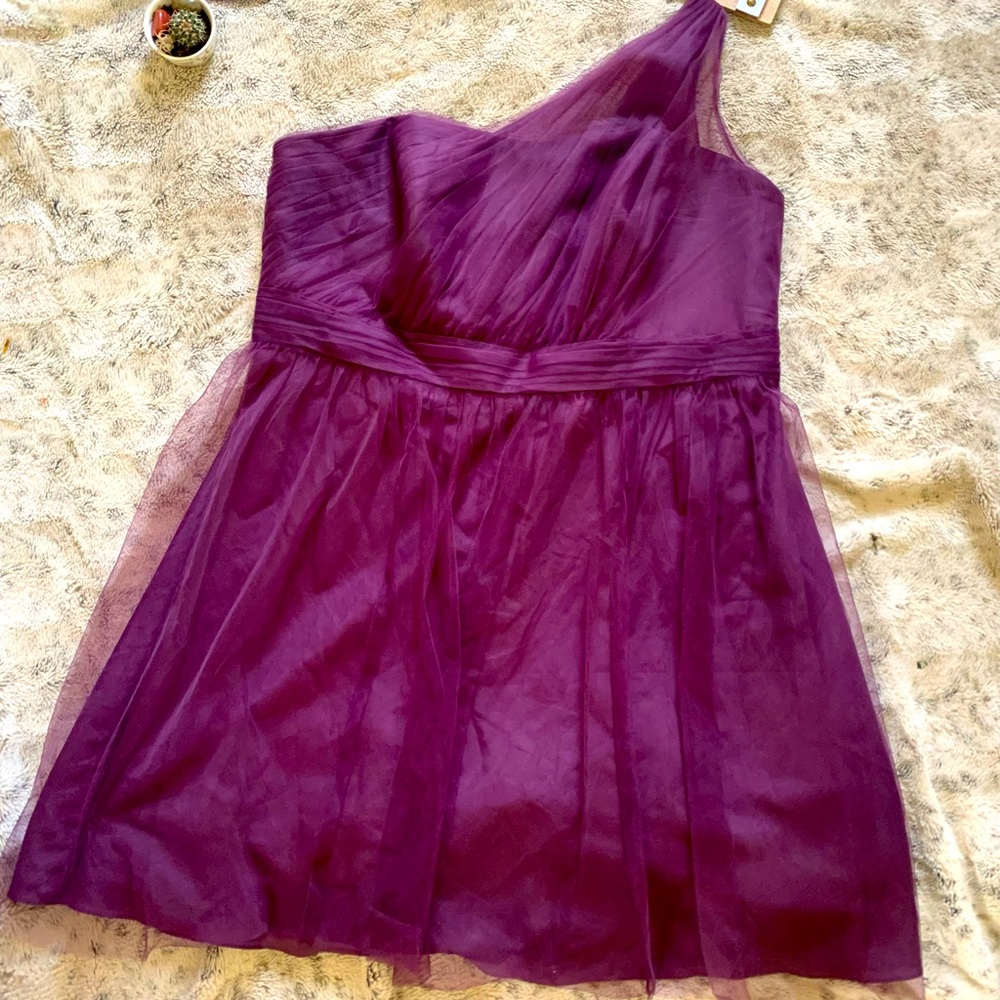 Formal / Purple / One Shoulder Dress / David’s Bridal